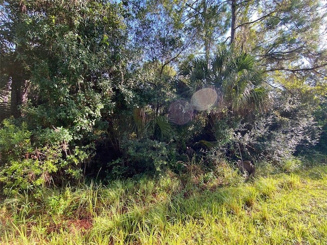 LOT8 Sultan Ave, North Port, FL 34286 - photo 3