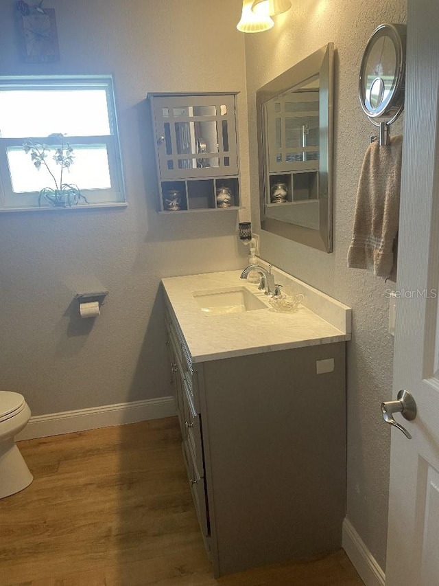 bathroom featuring hardwood / wood-style flooring, vanity, and toilet