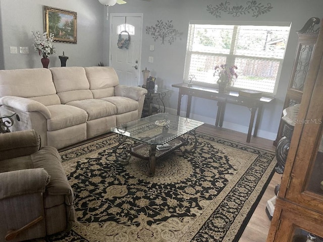 living room featuring ceiling fan and hardwood / wood-style floors