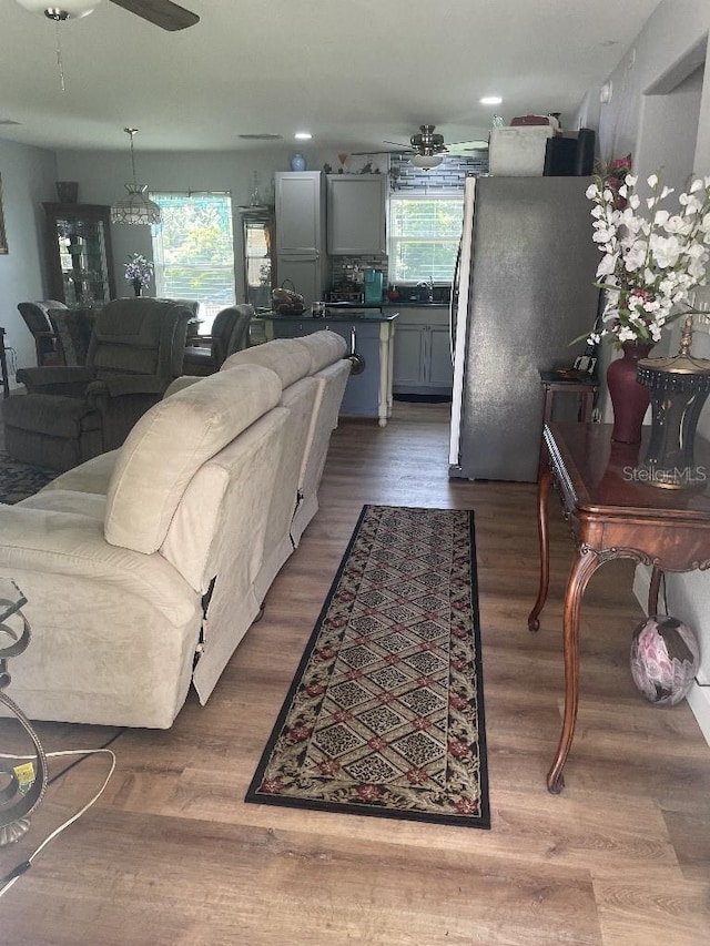 living room with a healthy amount of sunlight, hardwood / wood-style flooring, and ceiling fan