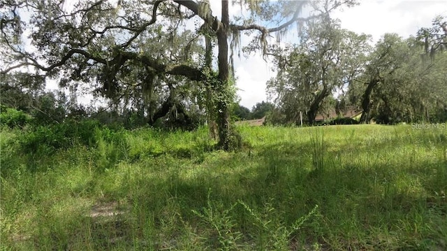 Listing photo 3 for 0 Treiman Blvd, Webster FL 33597