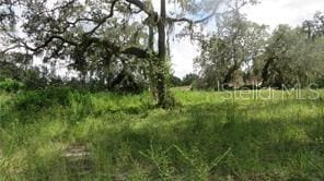 0 Cedarfield Dr, Dade City FL, 33523 land for sale