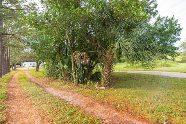 Listing photo 3 for 9358 Harney Rd, Thonotosassa FL 33592