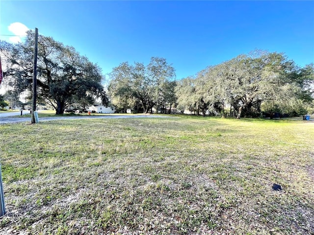 14820 N 15th St, Lutz FL, 33549 land for sale