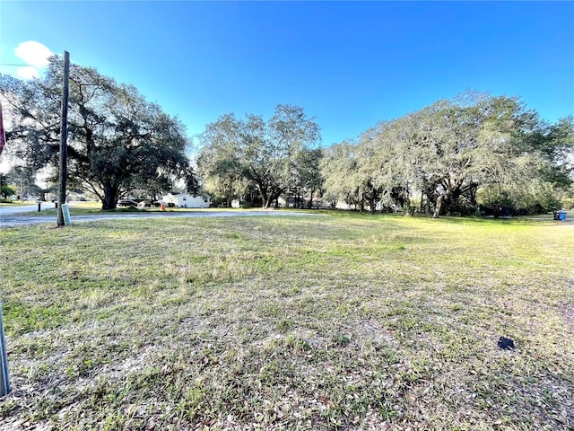 14820 N 15th St, Lutz FL, 33549 land for sale