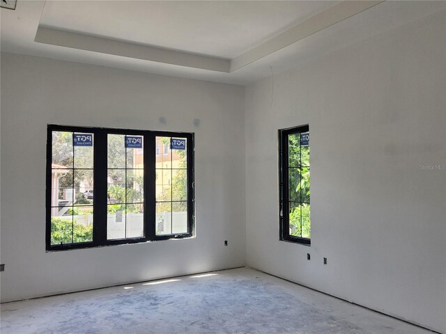 unfurnished room featuring a wealth of natural light and a raised ceiling