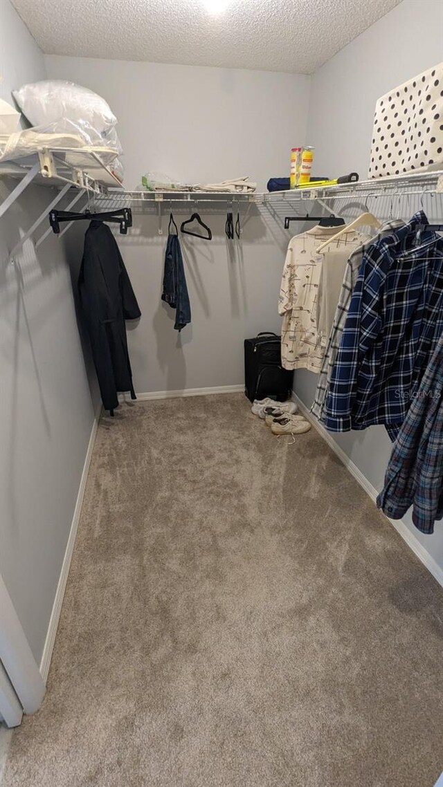 walk in closet featuring carpet