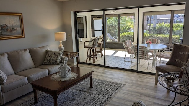 living room featuring wood-type flooring and plenty of natural light