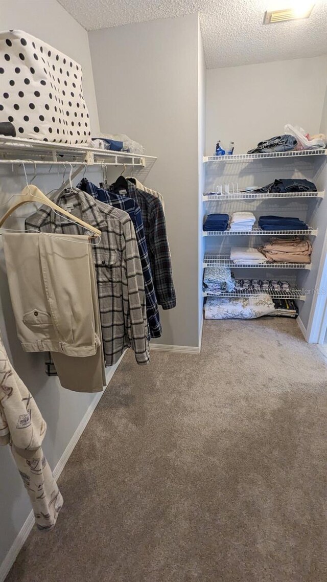 walk in closet featuring carpet flooring