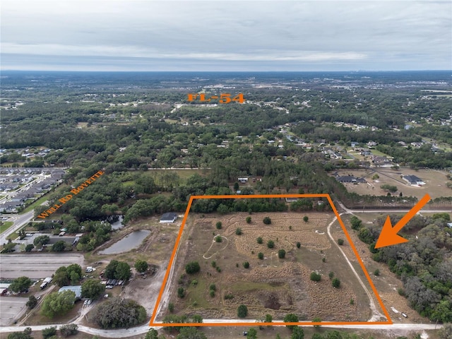 29824 Wells Rd, Wesley Chapel FL, 33545 land for sale