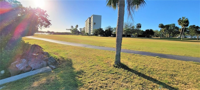 view of property's community with a lawn