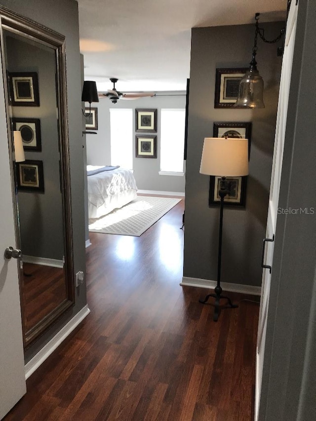 hall featuring dark hardwood / wood-style floors