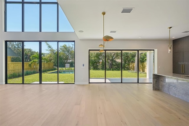 interior space with a healthy amount of sunlight and light wood-type flooring