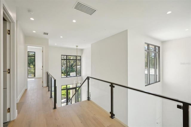 hallway featuring a notable chandelier, a healthy amount of sunlight, and light hardwood / wood-style floors