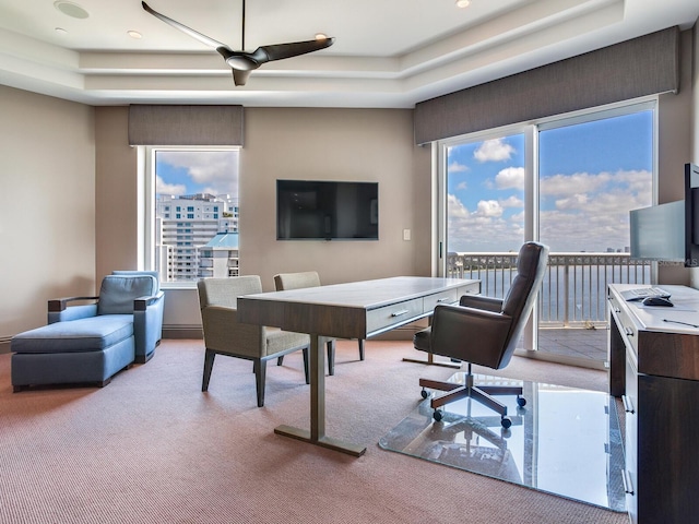 office space featuring a raised ceiling and carpet flooring