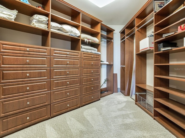 walk in closet with carpet floors