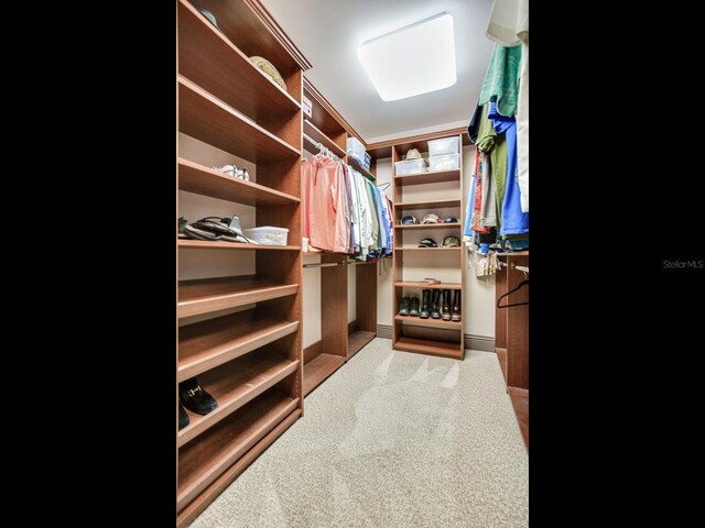 spacious closet with carpet flooring