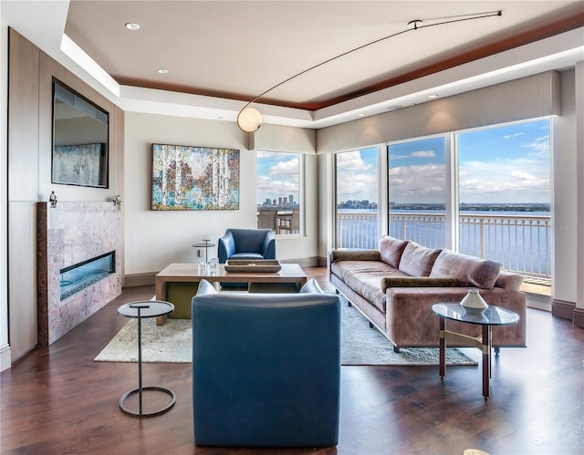 living area with a glass covered fireplace, dark wood-style flooring, a water view, baseboards, and a raised ceiling