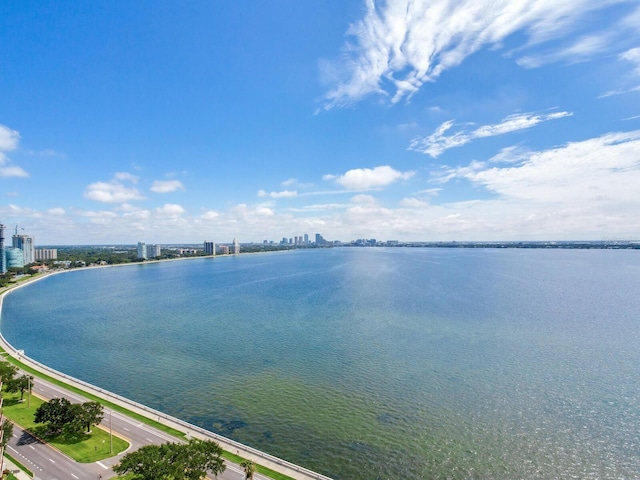 property view of water featuring a view of city