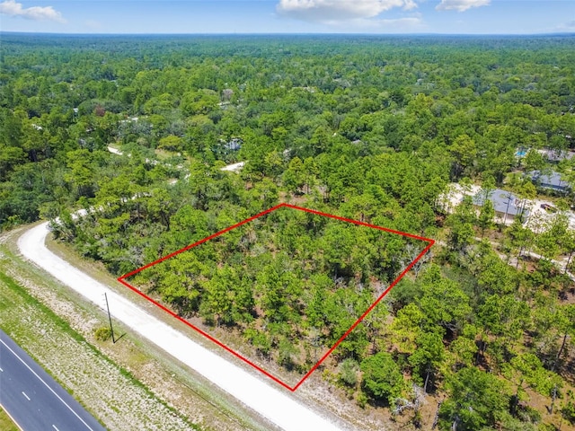 17496 Nicasio Jay Ave, Weeki Wachee FL, 34614 land for sale