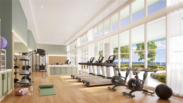 gym featuring a towering ceiling and light wood-type flooring