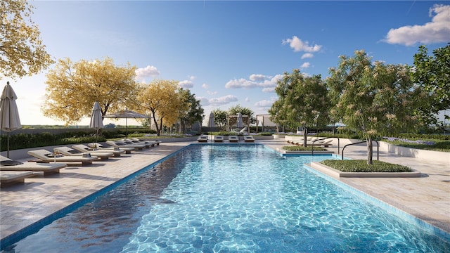 view of swimming pool with a patio area