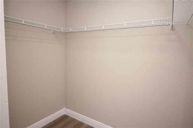 spacious closet featuring wood-type flooring