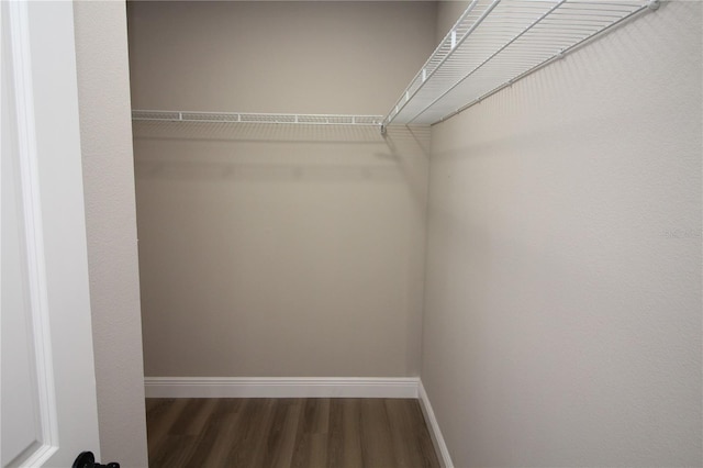 walk in closet with dark wood-type flooring