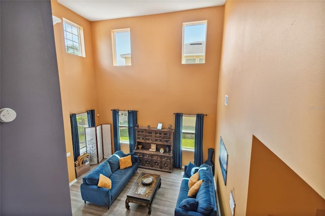 living room with hardwood / wood-style flooring, plenty of natural light, and a towering ceiling