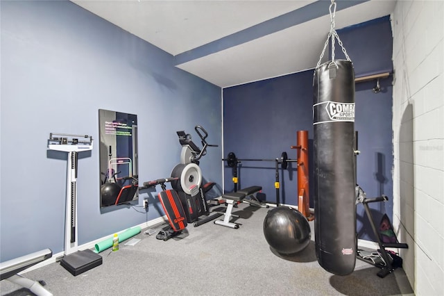 workout room featuring carpet flooring