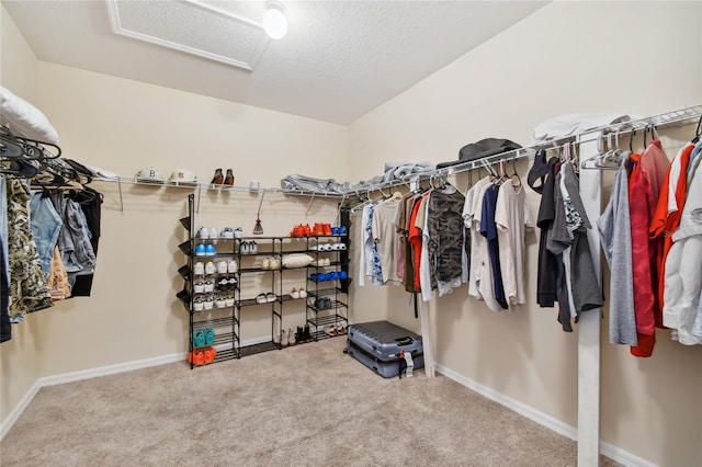 walk in closet featuring light colored carpet