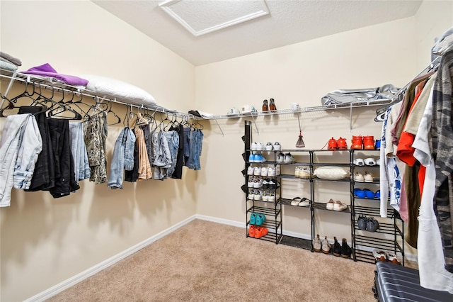 spacious closet with carpet