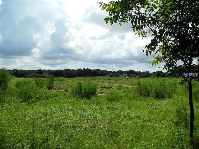 10201 Timmons Rd, Thonotosassa, FL 33592 - photo 2