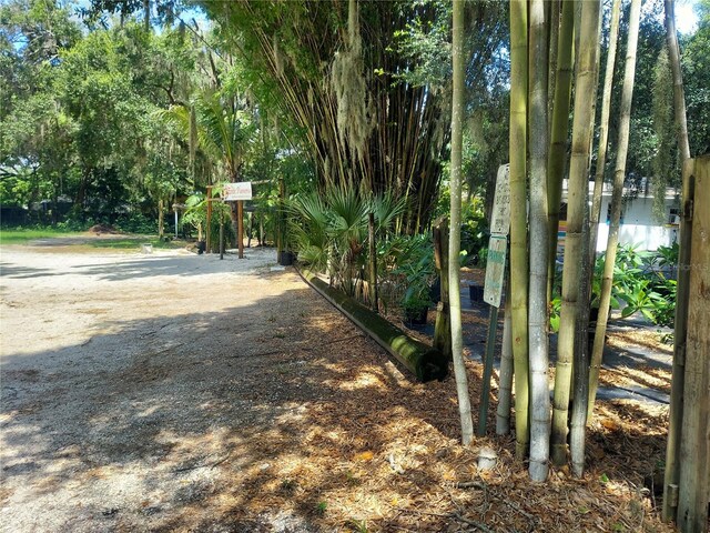 453 W Dr Martin Luther King Jr Blvd, Seffner, FL 33584 - photo 8