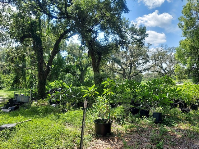 453 W Dr Martin Luther King Jr Blvd, Seffner, FL 33584 - photo 11