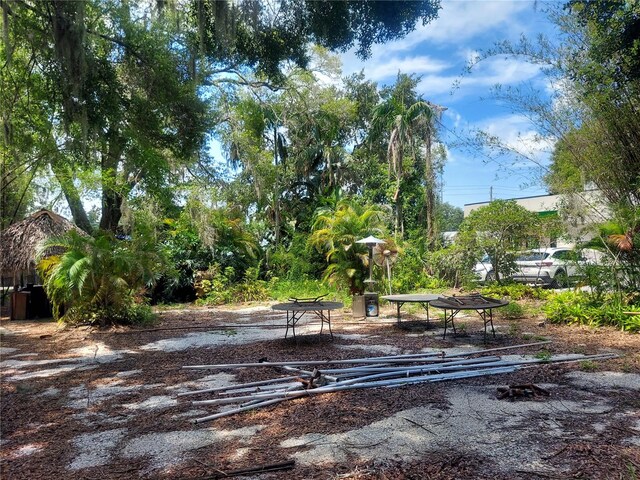 453 W Dr Martin Luther King Jr Blvd, Seffner, FL 33584 - photo 15
