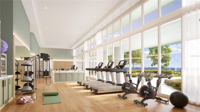 workout area with light hardwood / wood-style flooring and a towering ceiling