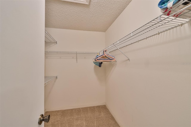 spacious closet featuring light colored carpet