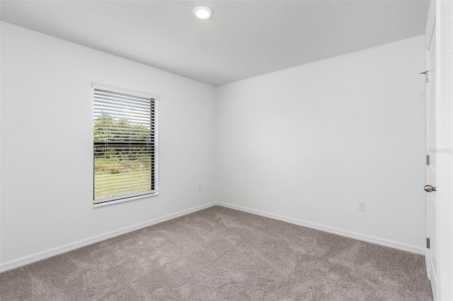 6007 Gillot Blvd, Port Charlotte, FL 33981 - photo 11