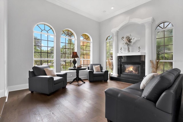 living area featuring a tiled fireplace, crown molding, and dark hardwood / wood-style flooring