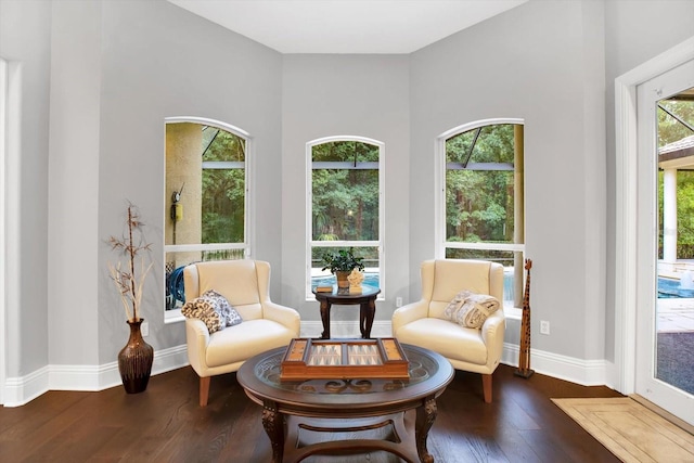 sitting room featuring dark wood-type flooring