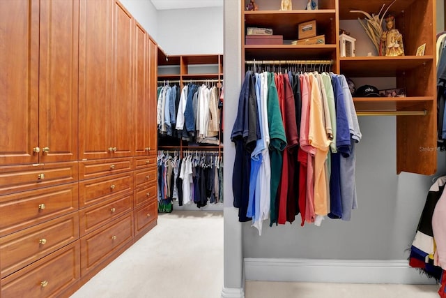 spacious closet featuring light carpet