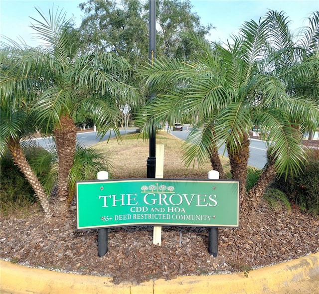 8049 Sanguinelli Rd, Land O Lakes, FL 34637 - exterior view