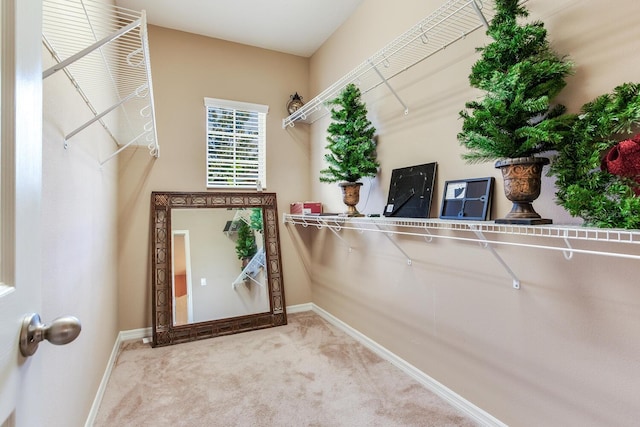 spacious closet featuring light carpet