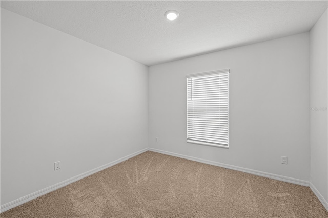 carpeted spare room with a textured ceiling