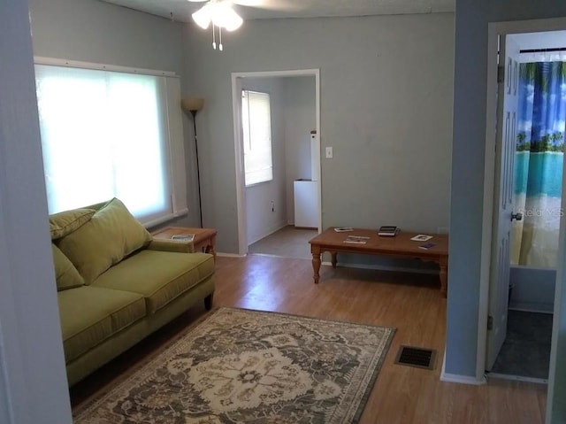 living room with ceiling fan and hardwood / wood-style flooring