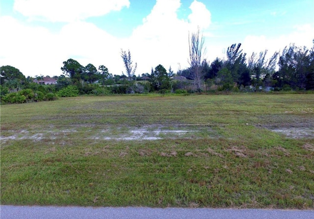 2017 NW 24th Ave, Cape Coral, FL 33993 - photo 2