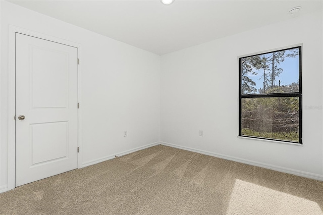 unfurnished room featuring carpet