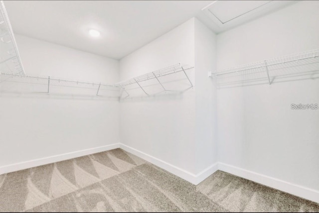 7002 162nd Pl E, Parrish, FL 34219 - spacious closet featuring carpet