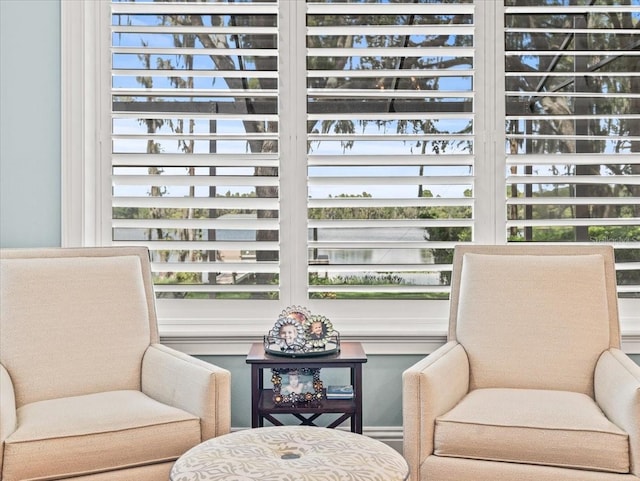 sitting room with a wealth of natural light